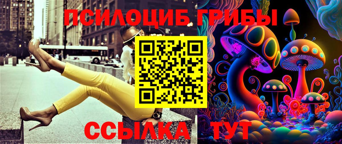 Галлюциногенные грибы ЛСД  Вход с VPN  Вятские Поляны 