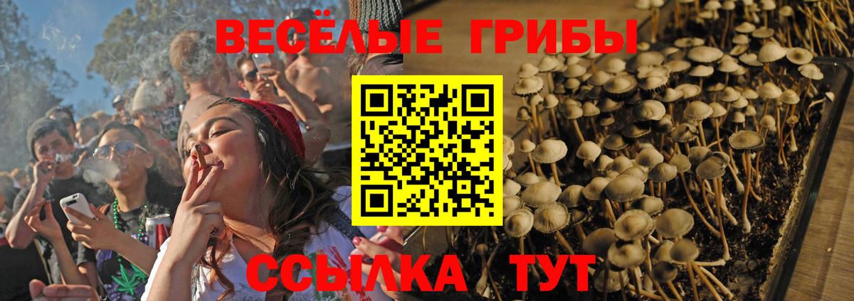 Галлюциногенные грибы Psilocybine cubensis Вятские Поляны